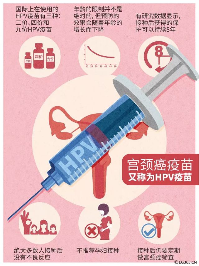 必要真的是大牌供应商供的吗_普通人有没必要打九价_必要价格贵