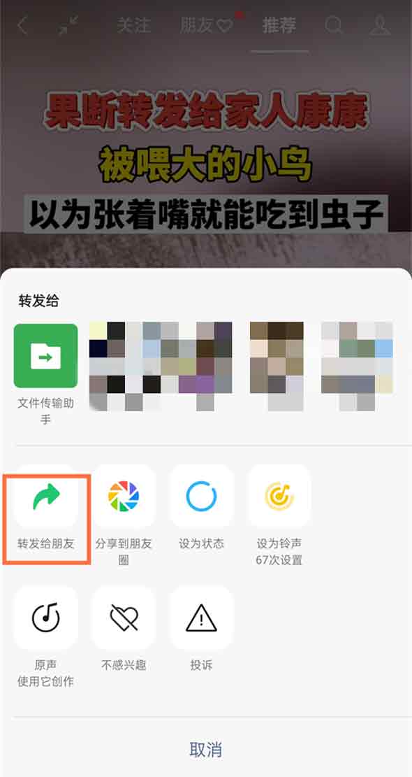 怎么看谁转发了自己的视频号_视频转发看号有记录吗_微信视频号看转发
