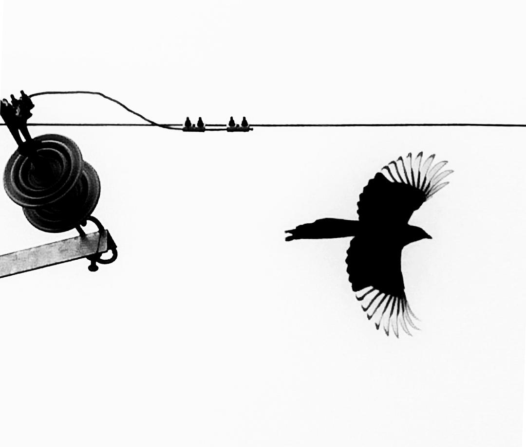 官网Instagram_instagram官网_instagram官网下载