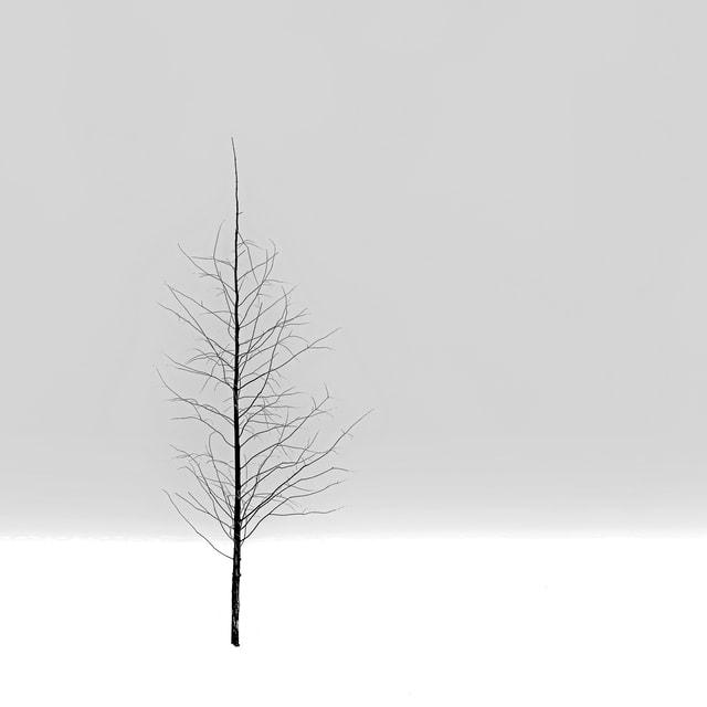 官网Instagram_instagram官网下载_instagram官网