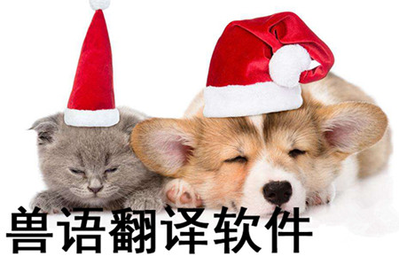 兽音译者在线翻译_ばか者翻译_者在古文中的翻译