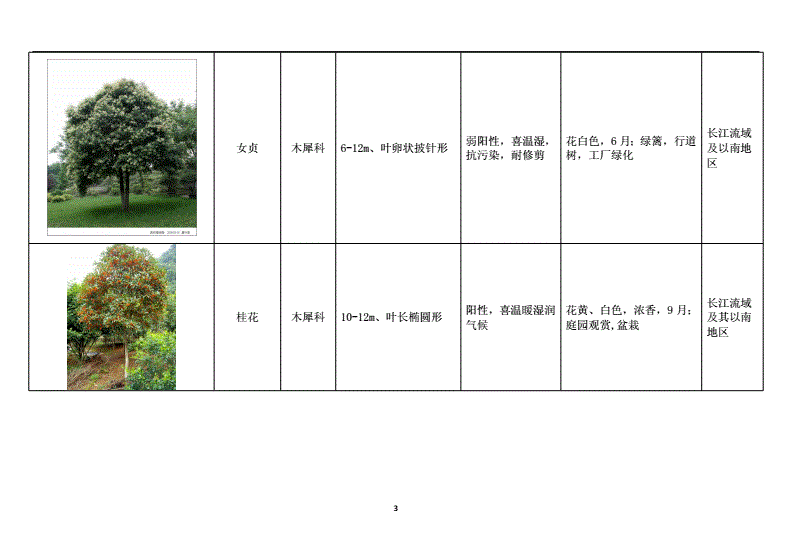 种图网_图种_长尾鸟品种图