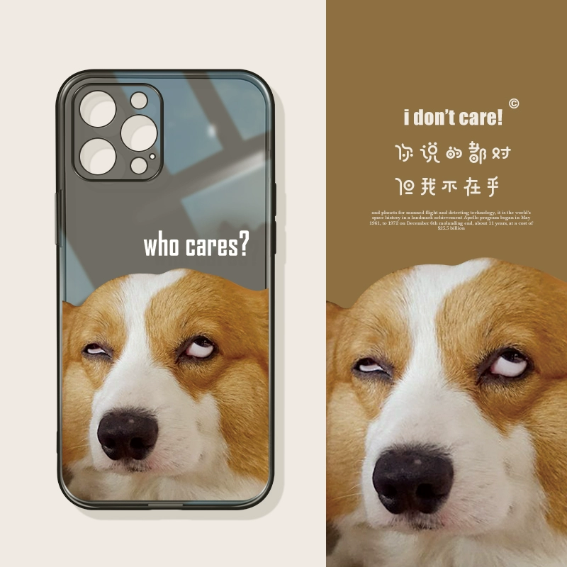 苹果拍live图需要长按吗_苹果拍live为什么不动_苹果怎么拍live