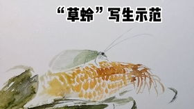 碗拍手游戏