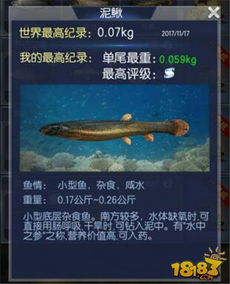 游戏泥鳅,亲子互动的童年回忆”