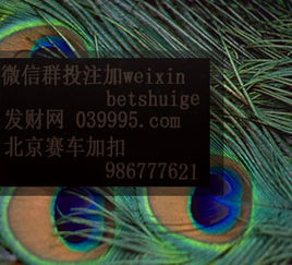 cp1游戏,探索无尽冒险的奇幻世界