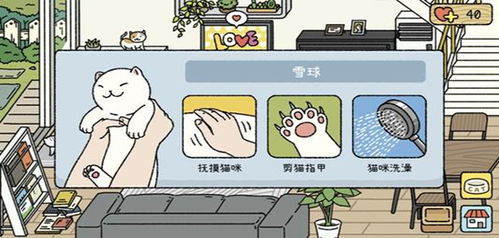 模拟养猫的游戏,打造你的专属萌宠乐园
