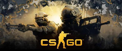 游戏csgo,战术对决与荣耀征途