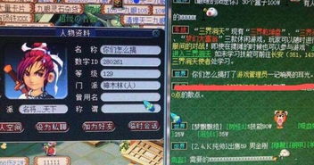 游戏管理员,守护虚拟世界的守护者