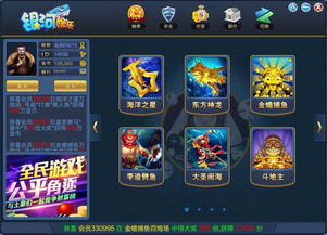 平台游戏代理,平台游戏代理的无限可能