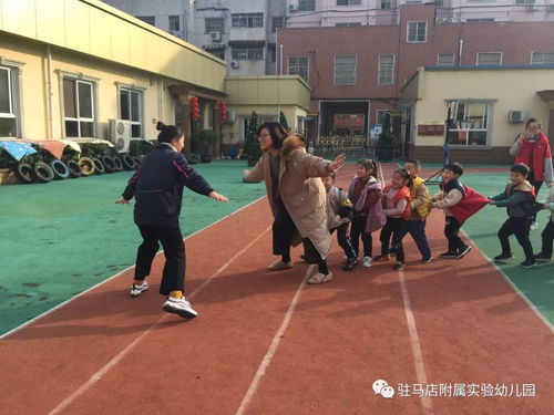 户外游戏,畅享自然乐趣