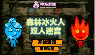 森林冰火人双人小游戏,携手闯关双人挑战