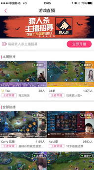 正规棋牌游戏,正规棋牌游戏的魅力与规则解析