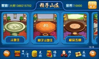 赖子游戏,智慧与策略的竞技场