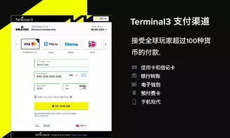 游戏支付平台,畅享虚拟世界