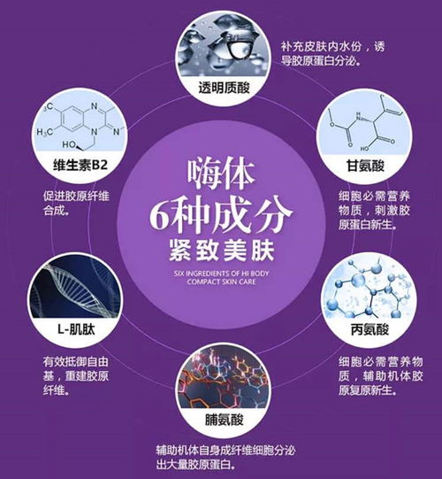酒桌纸牌游戏,欢乐互动的娱乐盛宴