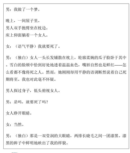 剧本游戏,穿梭时空的冒险之旅