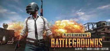 网易吃鸡游戏,畅享无限欢乐