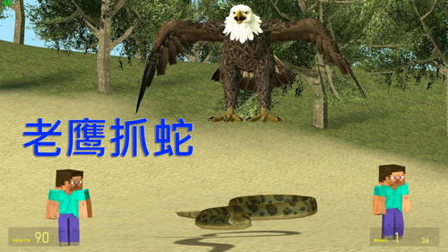 老鹰游戏,展现团队协作的竞技盛宴