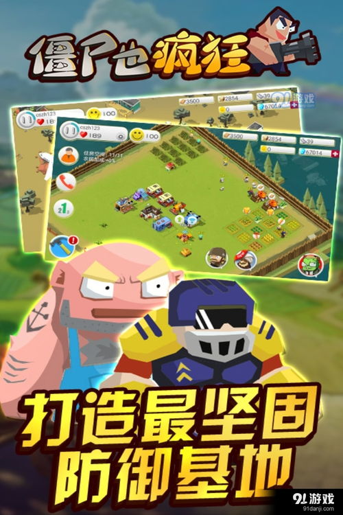 疯狂游戏,探索虚拟世界的无尽奇遇