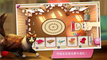 猫咪小游戏,猫咪小游戏的欢乐冒险之旅