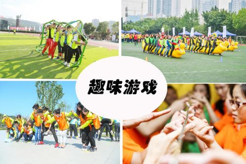公司团建游戏,公司团建游戏精彩回顾”