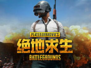 求生的游戏,求生游戏的惊心动魄之旅