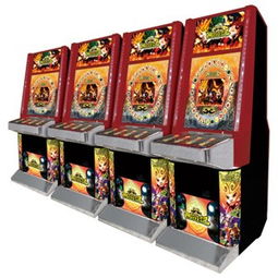 龙机游戏机,体验极致娱乐盛宴