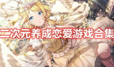 二次元恋爱游戏,一场跨越次元的恋爱冒险之旅