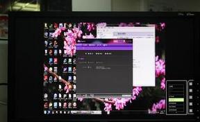 4299游戏,探索无尽奇幻世界的冒险之旅